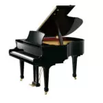 GP6100 Pearl River Piano Digital | Bulara