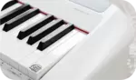 P200 Pearl River Piano Digital Branco | Bulara