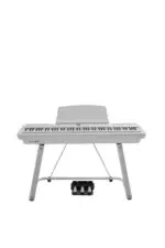 P200 Pearl River Piano Digital Branco | Bulara