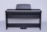 P60 Pearl River Piano Digital | Bulara